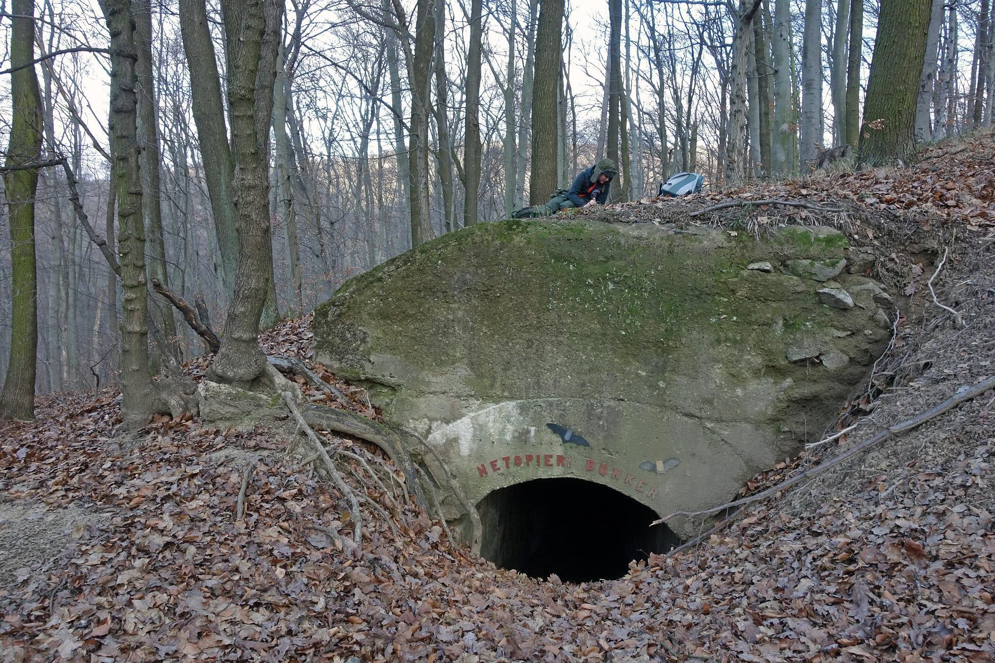 Kaverna Netopierí bunker II, nad Klepáčom (autor foto: Roman Matkovčík)