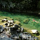 Jezerin vo vodách Rakitnice nad jej ústím do Neretvy (autor foto: Tomáš Trstenský)