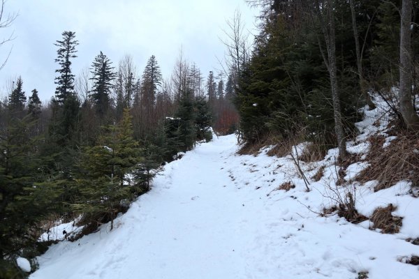 Úvodná časť z Tatranskej Kotliny k Šumivému prameňu