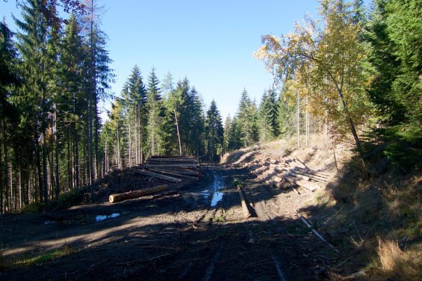 Tatranská magistrála, po ktorej sa ťahá drevo