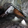 Jaskyňa Dziura, sneh napadaný cez okno v jaskyni