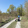 Poľná či lesná cesta popri starom koryte Dunaja