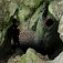 V Tunelovej jaskyni