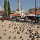 Typický záber z historického centra Sarajeva - holuby v Baščaršiji (autor foto: Martin Baniari)