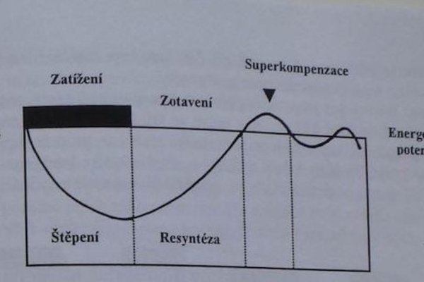 Obrázok 3 - Krivka superkompenzácie