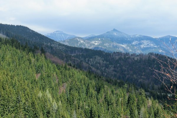 Pohľad do Suchej doliny, na Sivý vrch (vľavo vzadu), Malé Ostré, Ostré (Ostrô), Veľká kopa a Malá kopa