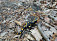 Salamandra
