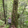 Milan Janák z WWF Slovensko vedľa javora horského, ktorý míňame na kraji pralesa