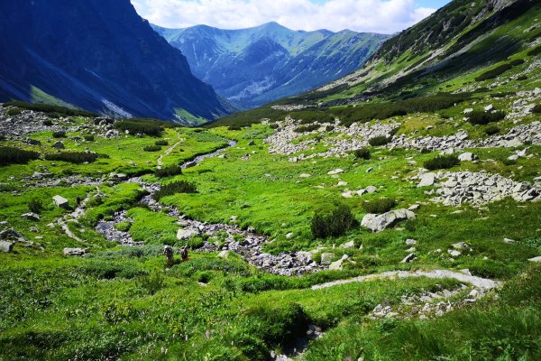 Chodník z Vyšného Kôprovského sedla do ústia Hlinskej doliny, všetko je krásne zelené