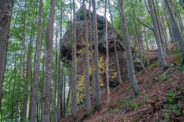 Ferraty Fúha (F) a Ejha (B) sú na skale skrytej v lese