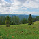 Panoráma