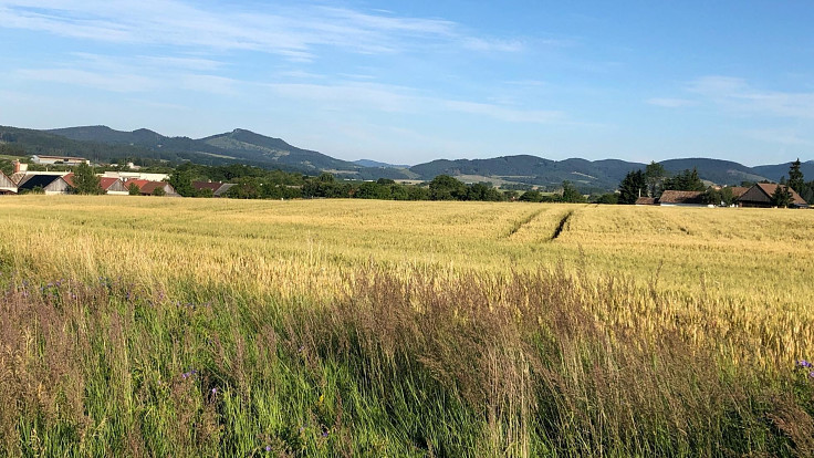 Vľavo hora Vyšehrad a pohorie Žiar