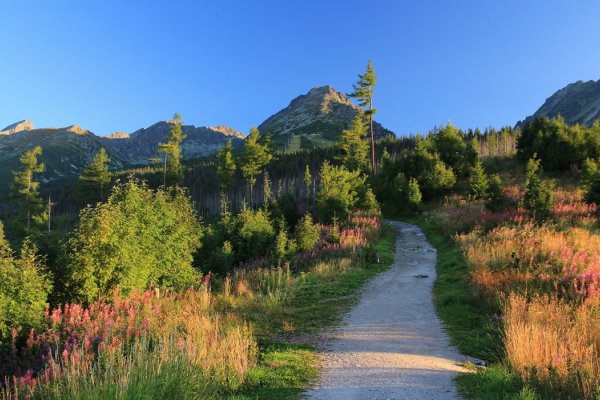 Tatranskou magistrálou k odbočke do Furkotskej doliny