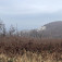 Výhľad z Javorinky na Kršlenicu