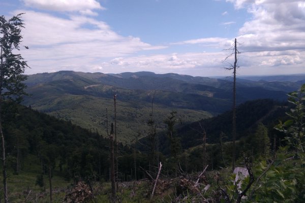 Výhľad z hrebeňa Volovských vrchov