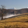 Strom a kopčeky