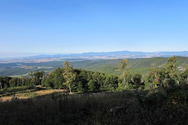 Výhľad z rúbane pod vrchom Dielce na hrebeň Považského Inovca