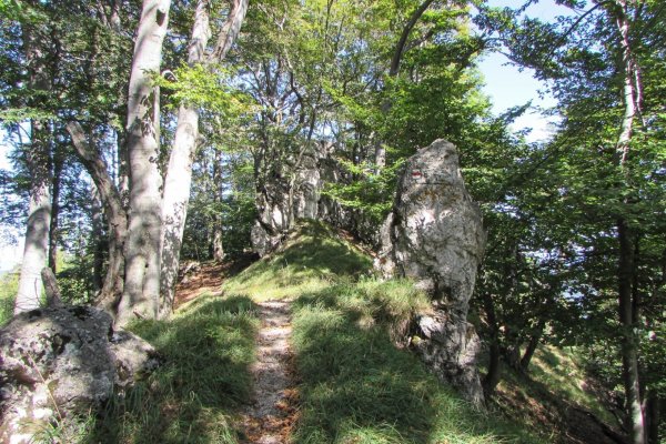 Skalné útvary na hrebeni cestou na Košútovu skalu