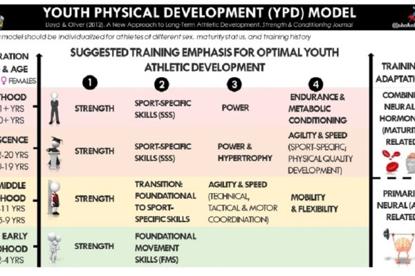 Model rozvoja kondičných schopností u detí A. Virgila - vychádza z novších YPD modelov rozvoja detí podľa Llyoda a Olivera