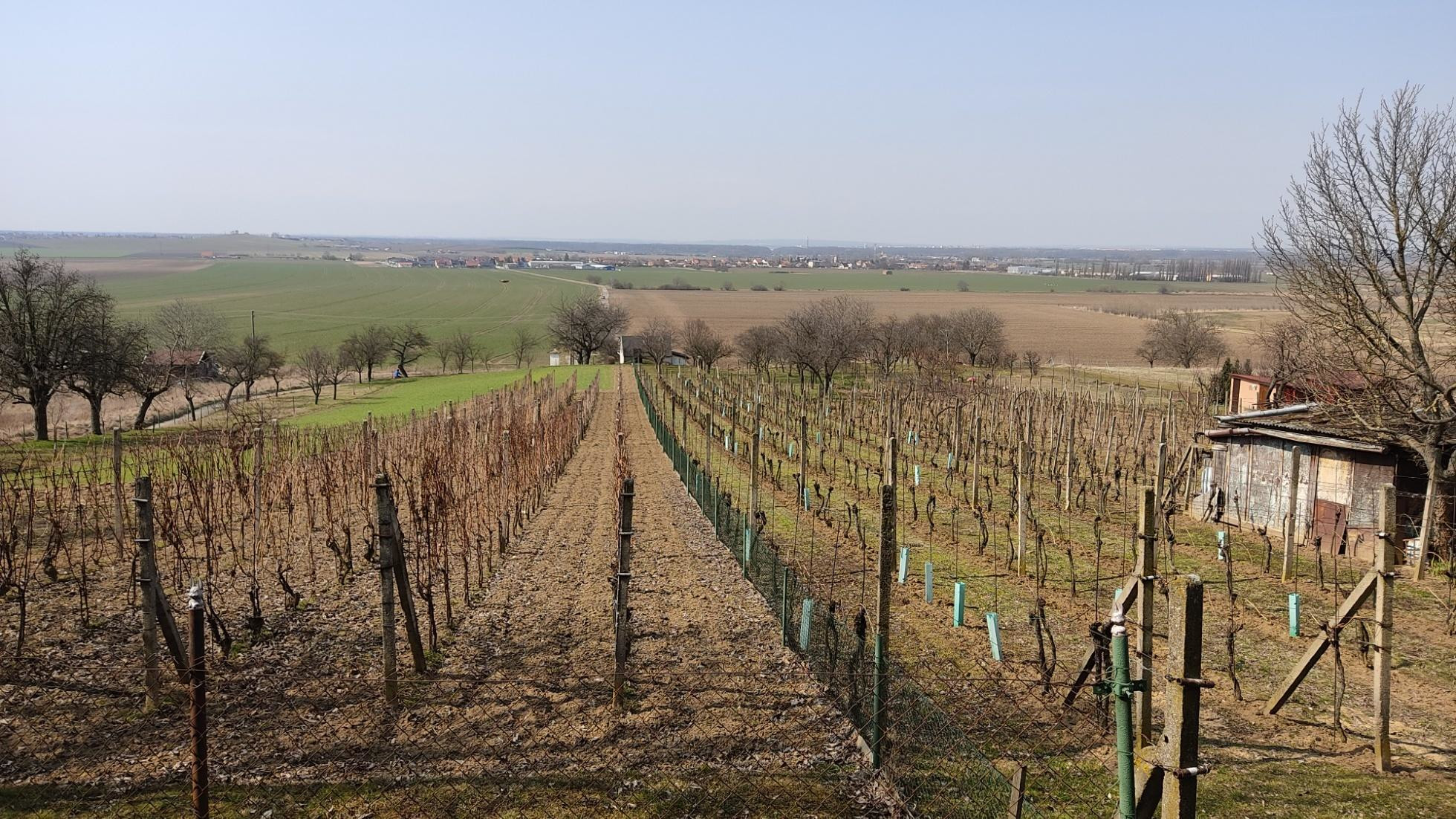 Pohľad z vinohradov na Vrádište