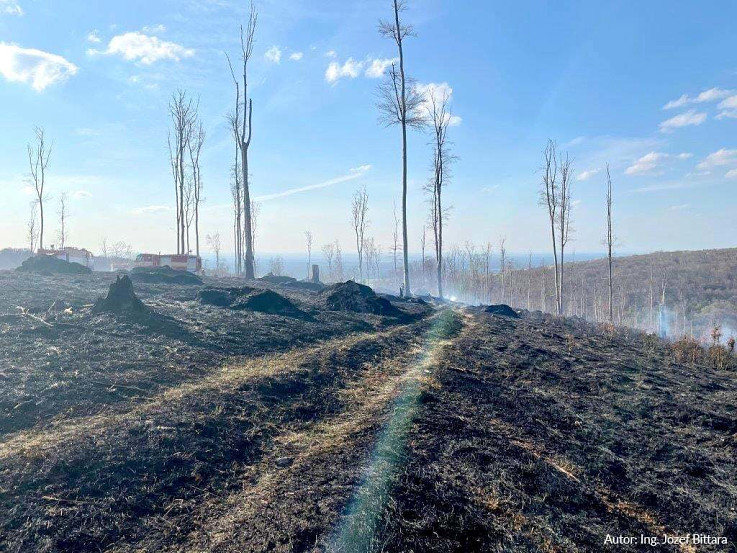 Požiar vo Vojenskom obvode Záhorie, Turecký Vrch, foto Ministerstvo obrany SR
