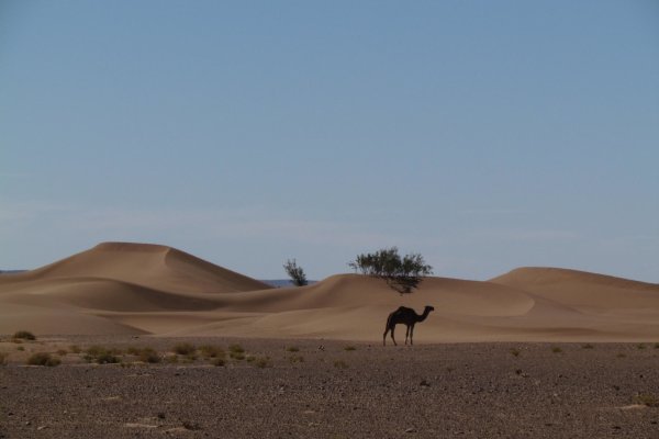 Takto vyzerá Sahara, kade sme išli