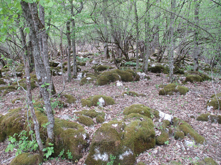 Drienčanský kras