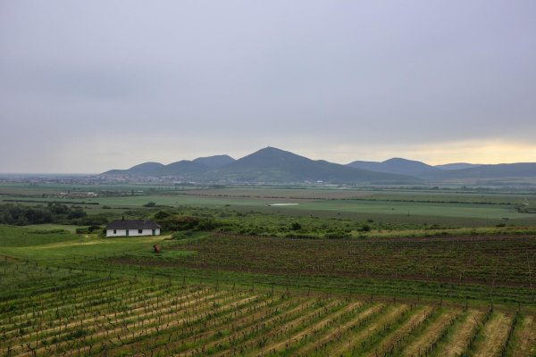 Výhľad z rozhľadne Tokaj na vrch Magas-hegy a okolie 