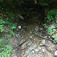 Suchý žľab jedného z prítokov potoka Henclová v stúpaní na sedlo Volovec