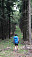 Lesná aleja