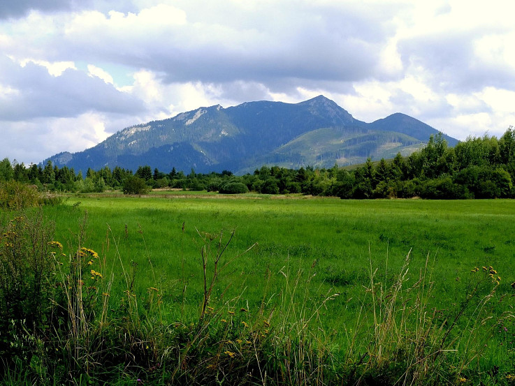Osobitá