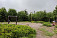Smrk vrchol