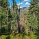 Horský les v NPR Kľačianska Magura