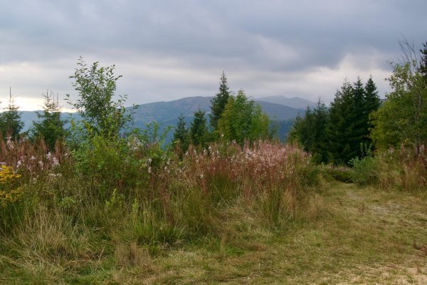 Pohľad na hlavný hrebeň Nízkych Tatier (autorka foto: Soňa Mäkká)