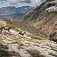 Stádo koní na okraji Národného parku Radal Siete Tazas