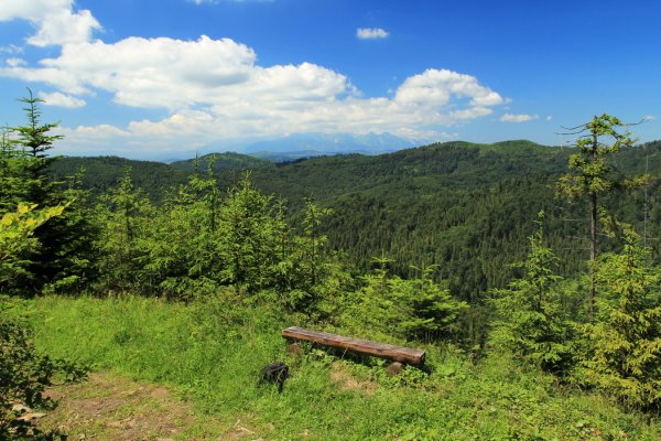 Výhľadová lavička na Grúni