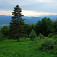 Výhľad z chaty Tŕstie, zľava - Klenovský Vepor,  sedlo Zbojská, Ďumbier, Fabova hoľa