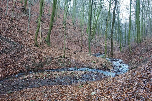 Dolina potoka Drmolez, január 2021