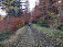 Tlačíme bicykle