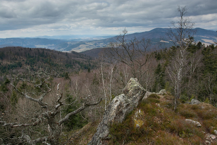 Výhľady