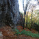 Skalné steny pod Červenicou sú obľúbenými lezeckými terénmi