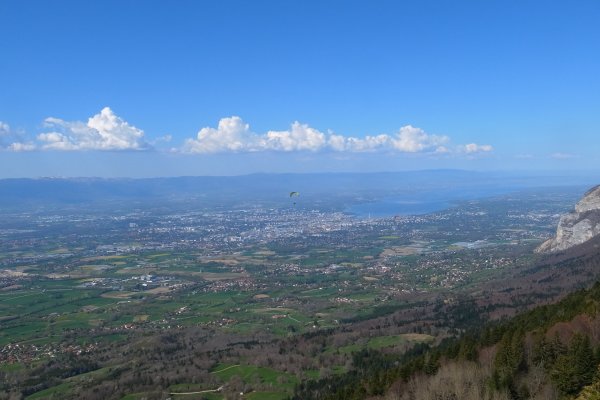 Paraglidisti nad Ženevou