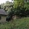 Samota Pávková, opustené domce a staré ovocné stromy doslova dýchajú históriou