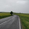 Cesta medzi Častkovom a Sobotišťom počas jarného dažďa 