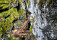 Worschachklamm