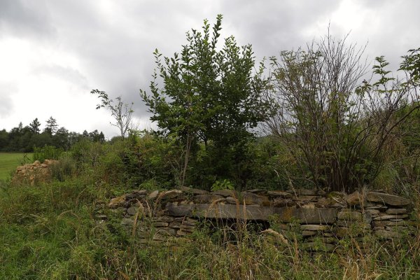 Ruiny v Blažovskej doline