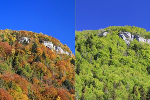 Jesenná Gačovská skala, na porovnanie s jarnou