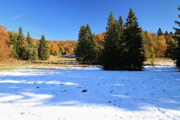Zimno-jesenná atmosféra na planine Geravy