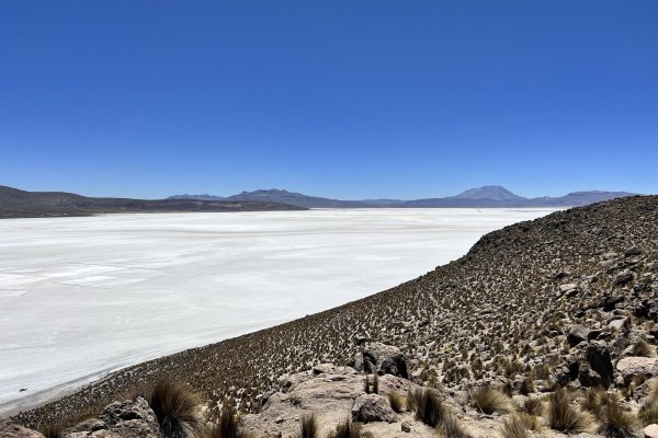 Laguna salinas (soľné jazero) na horizonte Ubinas (5672 m)