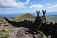 Slieve Binnian East Top